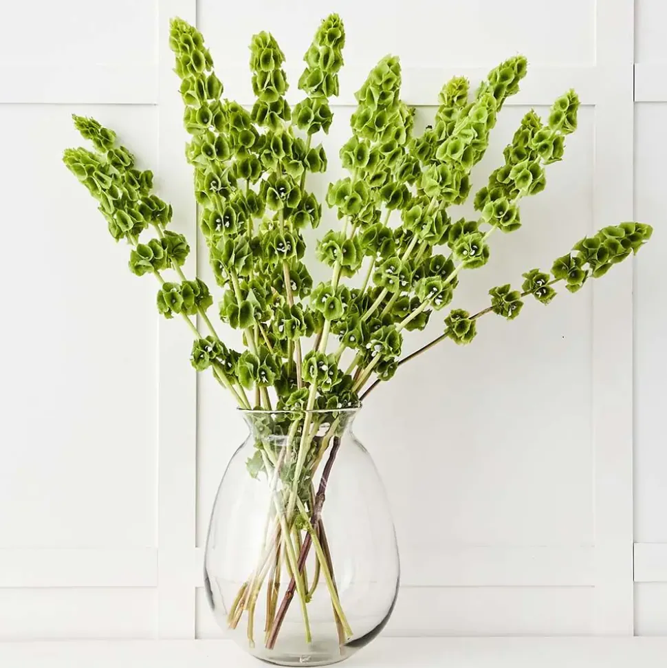 Ayla Vase