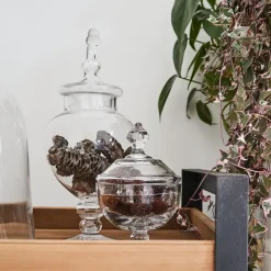 Bonbon Jar