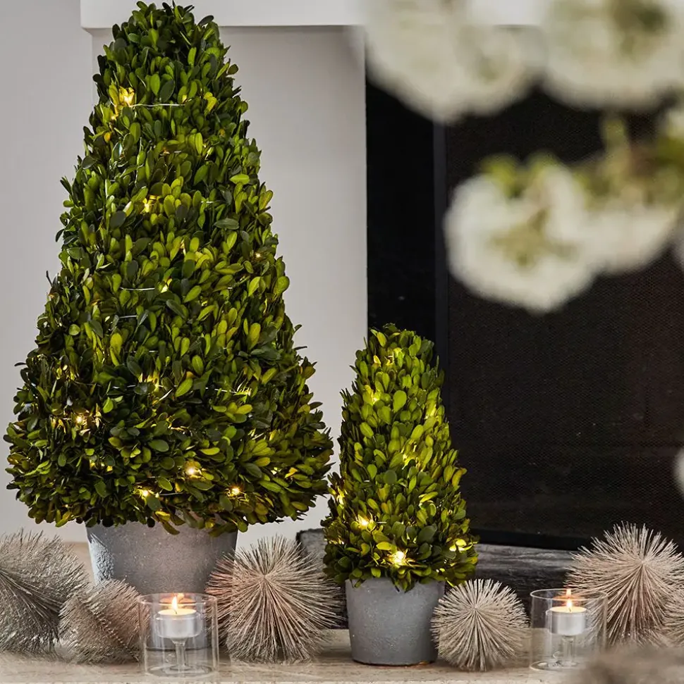 Boxwood Fairy Light Tree 34cm