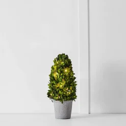 Boxwood Fairy Light Tree 34cm