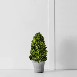 Boxwood Fairy Light Tree 34cm