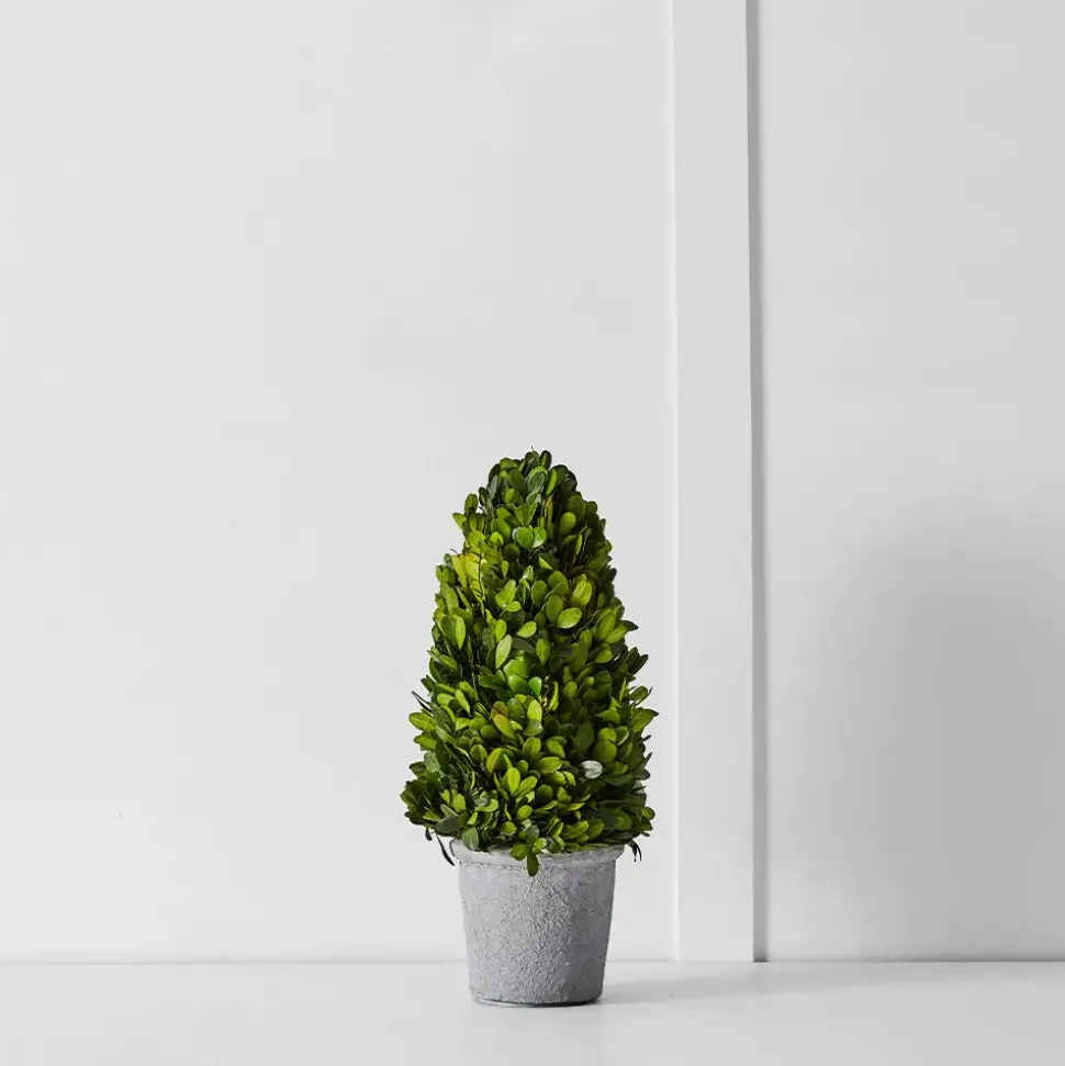 Boxwood Fairy Light Tree 34cm