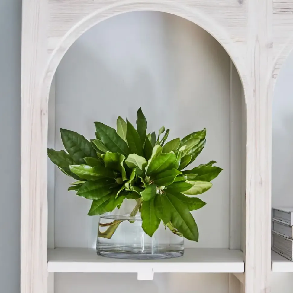 Caprice Vase