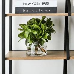 Catalina Shelf