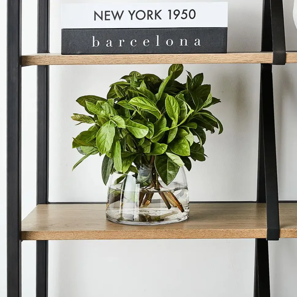 Catalina Shelf