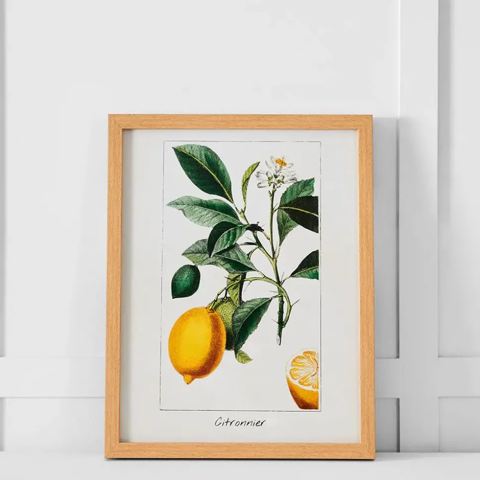 Citronnier Print 36x46