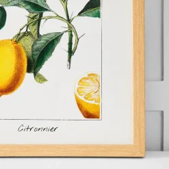Citronnier Print 36x46