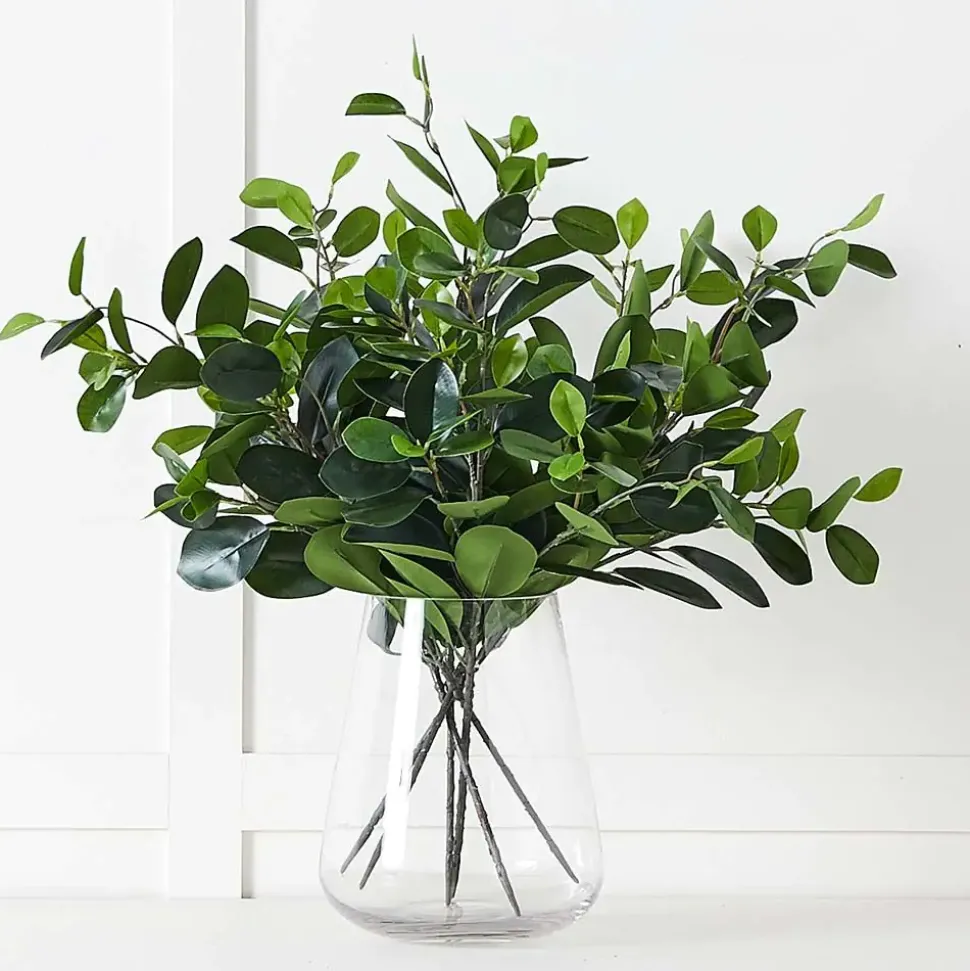 Citrus Leaf Foliage