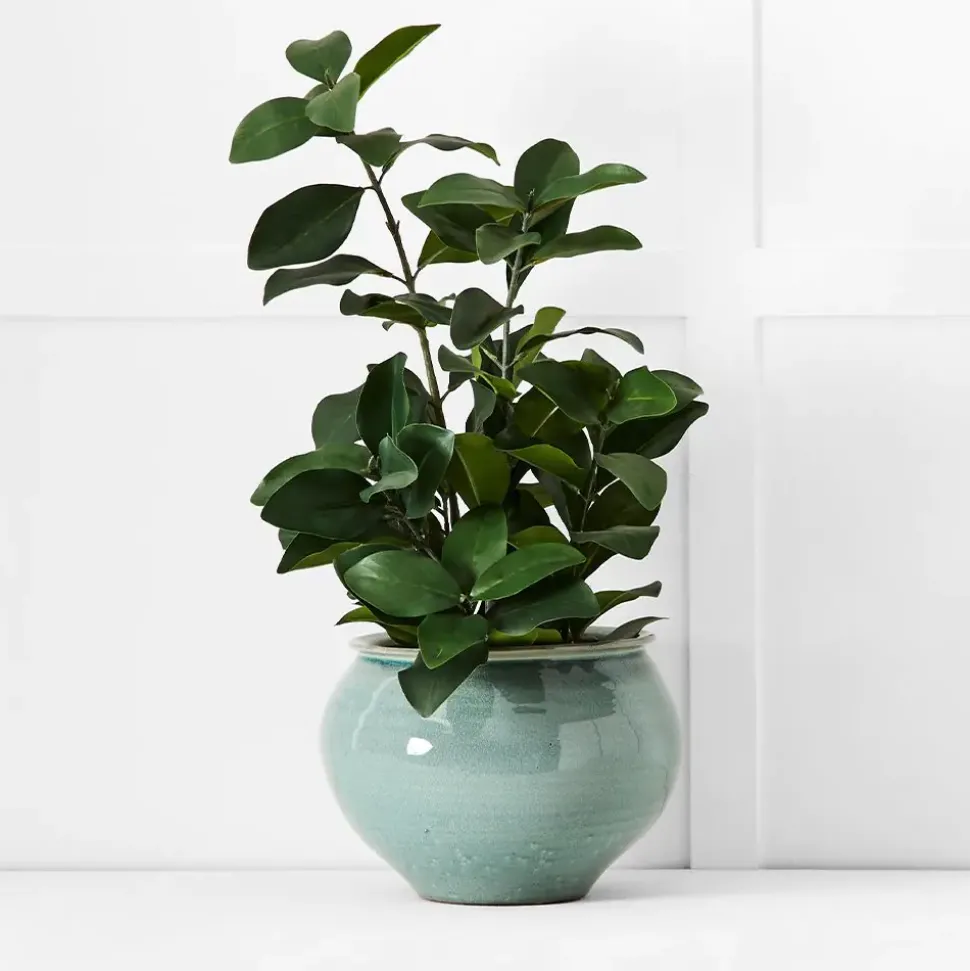 Compton Decorative Pot