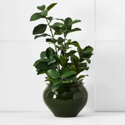 Compton Decorative Pot