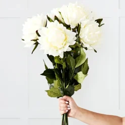 Dahlia Flower Stem