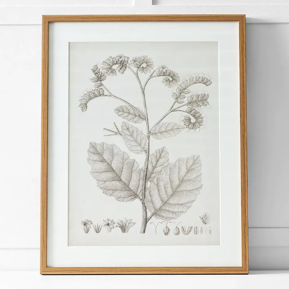 Floreal Print II 60x76