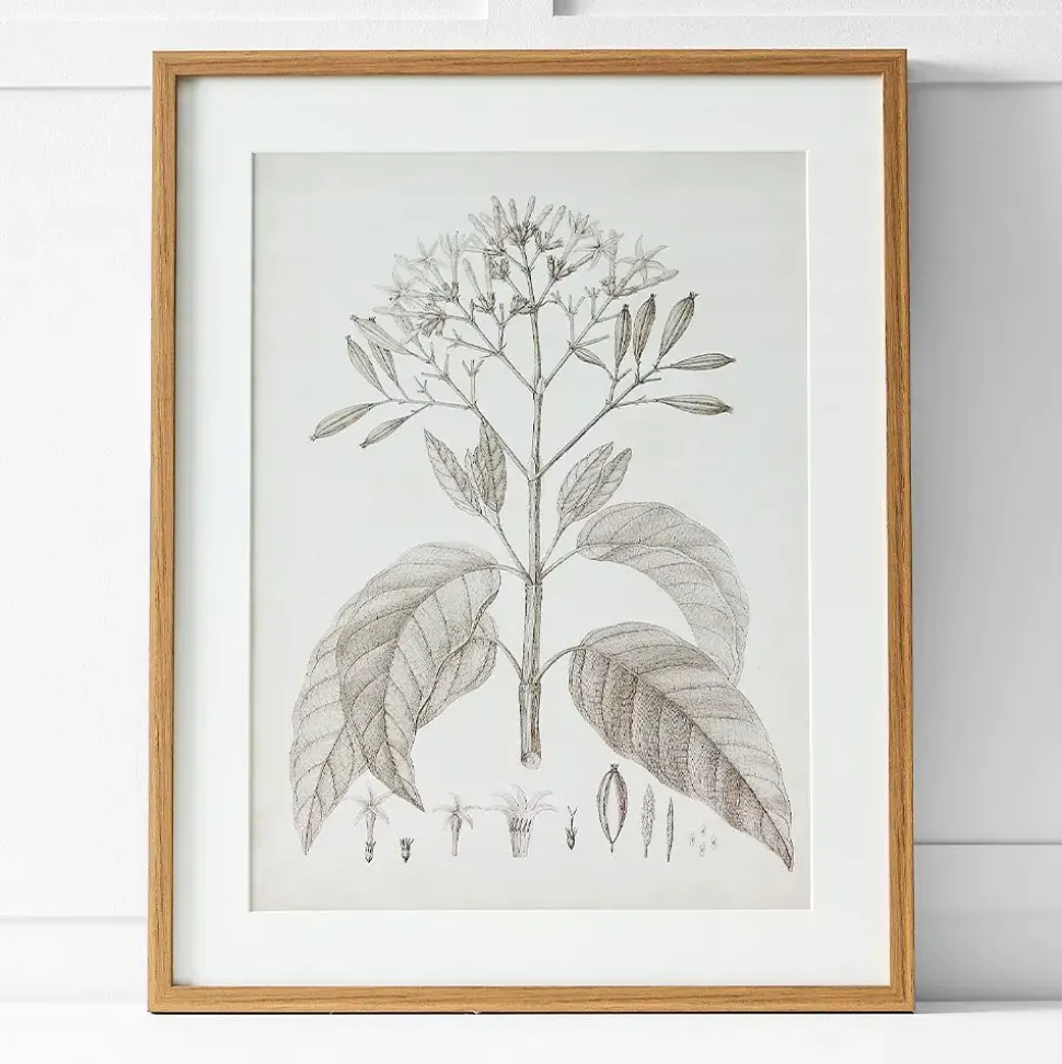 Floreal Print I 60x76