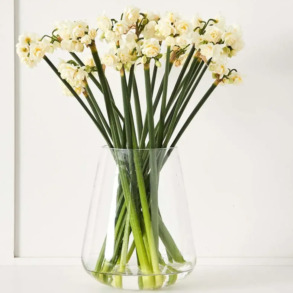 Gemma Vase