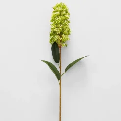 Green Skimmia Stem