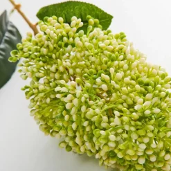 Green Skimmia Stem