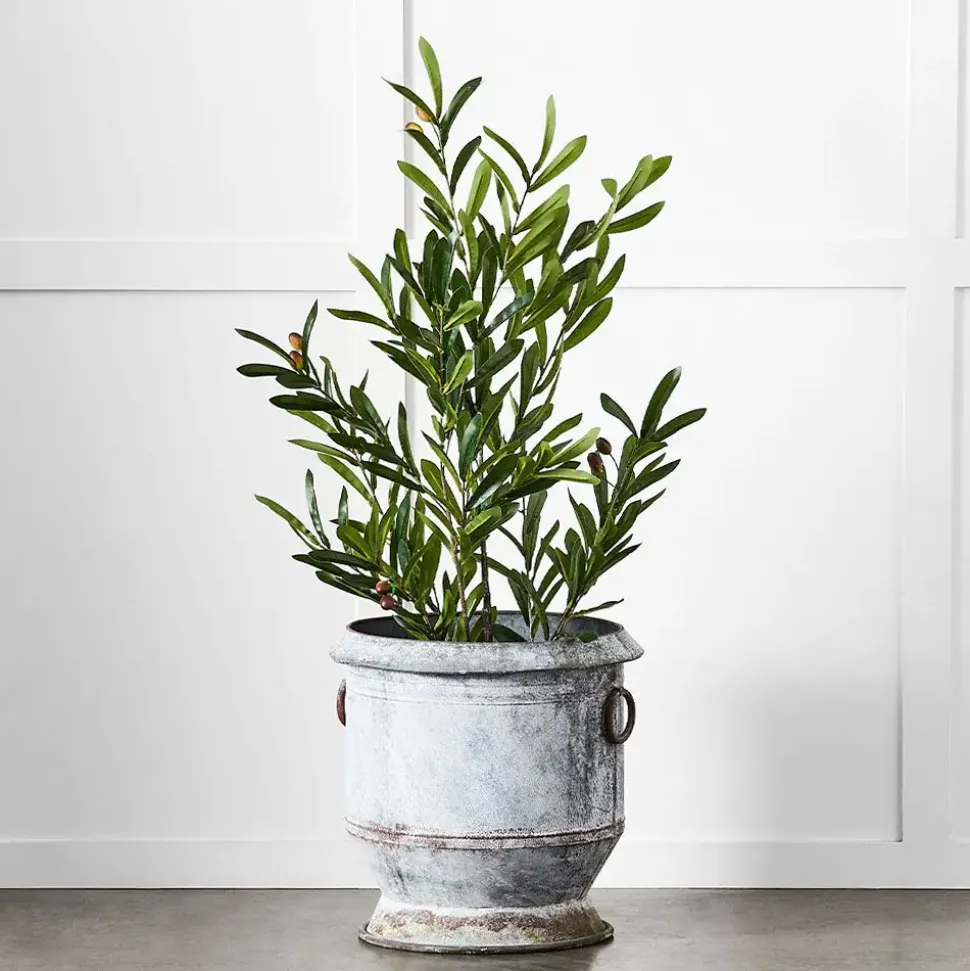 Gruyere Flowerpot M