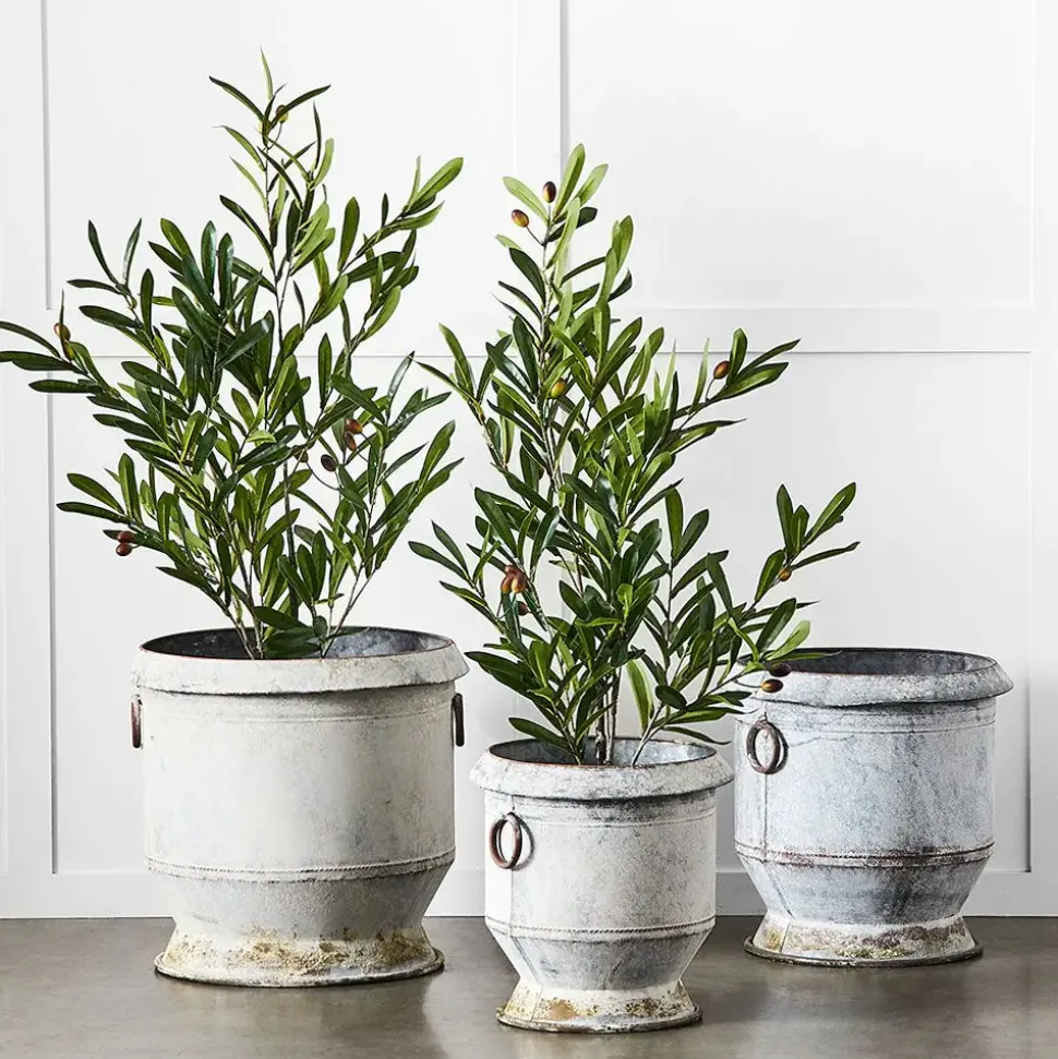 Gruyere Flowerpot M