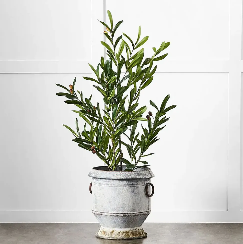 Gruyere Flowerpot S