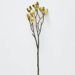 Gumnut Stem