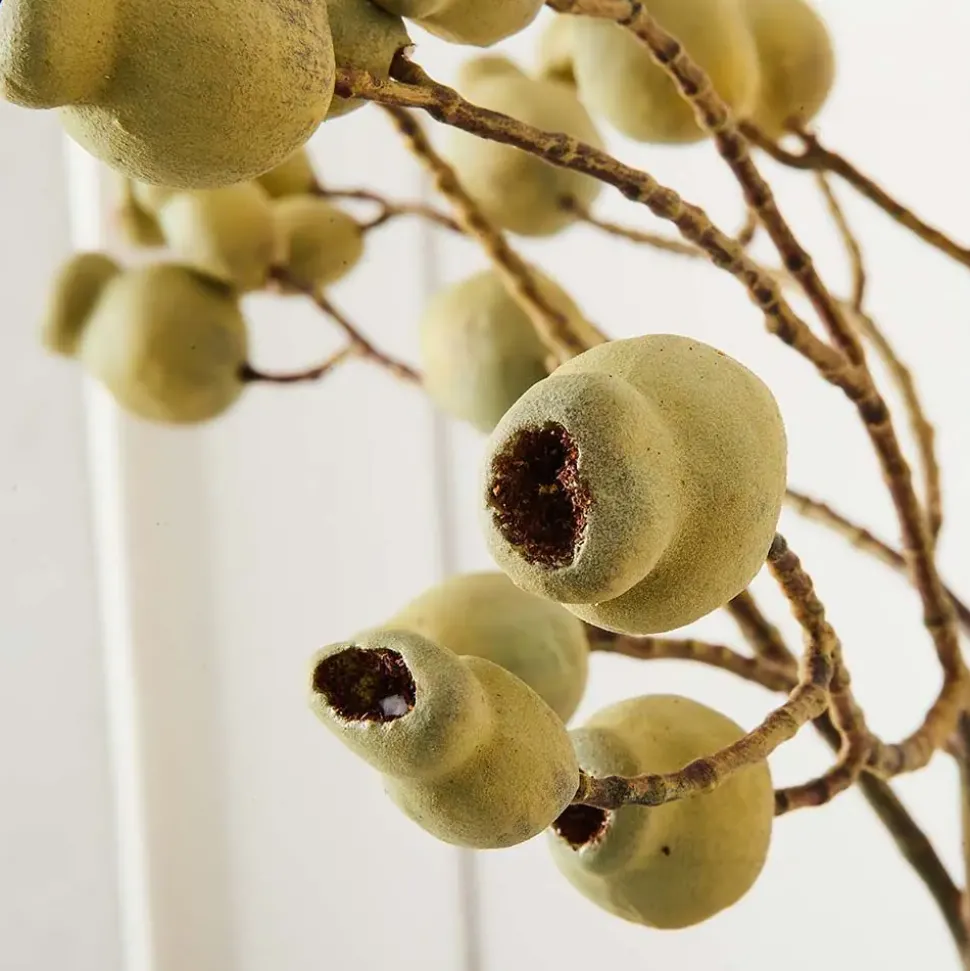 Gumnut Stem