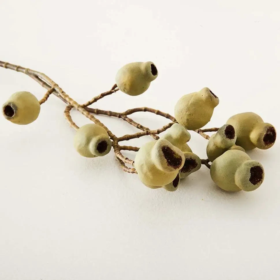 Gumnut Stem