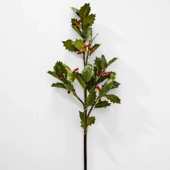 Holly Stem
