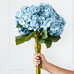 Hydrangea Flower Stem