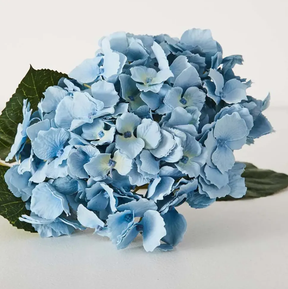 Hydrangea Flower Stem