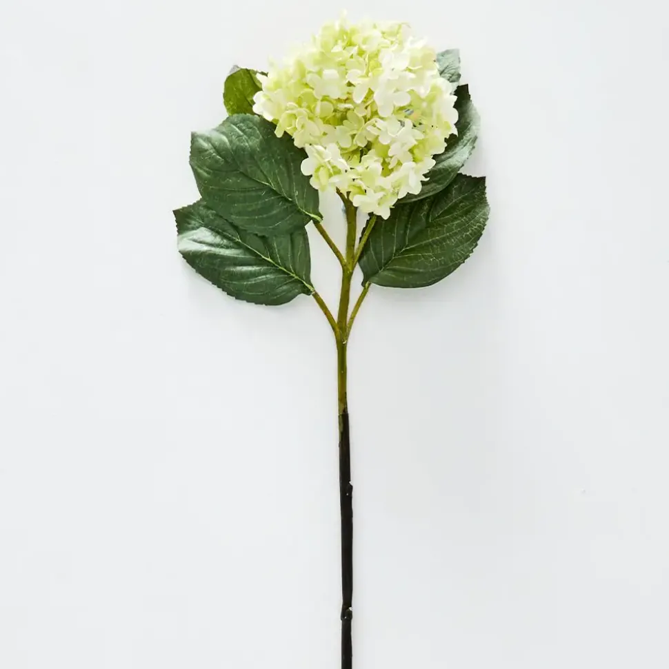 Hydrangea Flower Stem