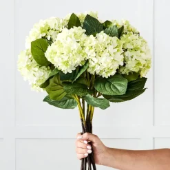 Hydrangea Flower Stem