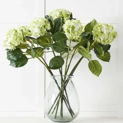 Hydrangea Flower Stem
