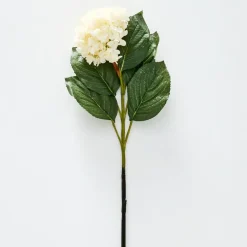 Hydrangea Flower Stem