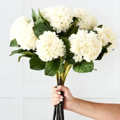 Hydrangea Flower Stem
