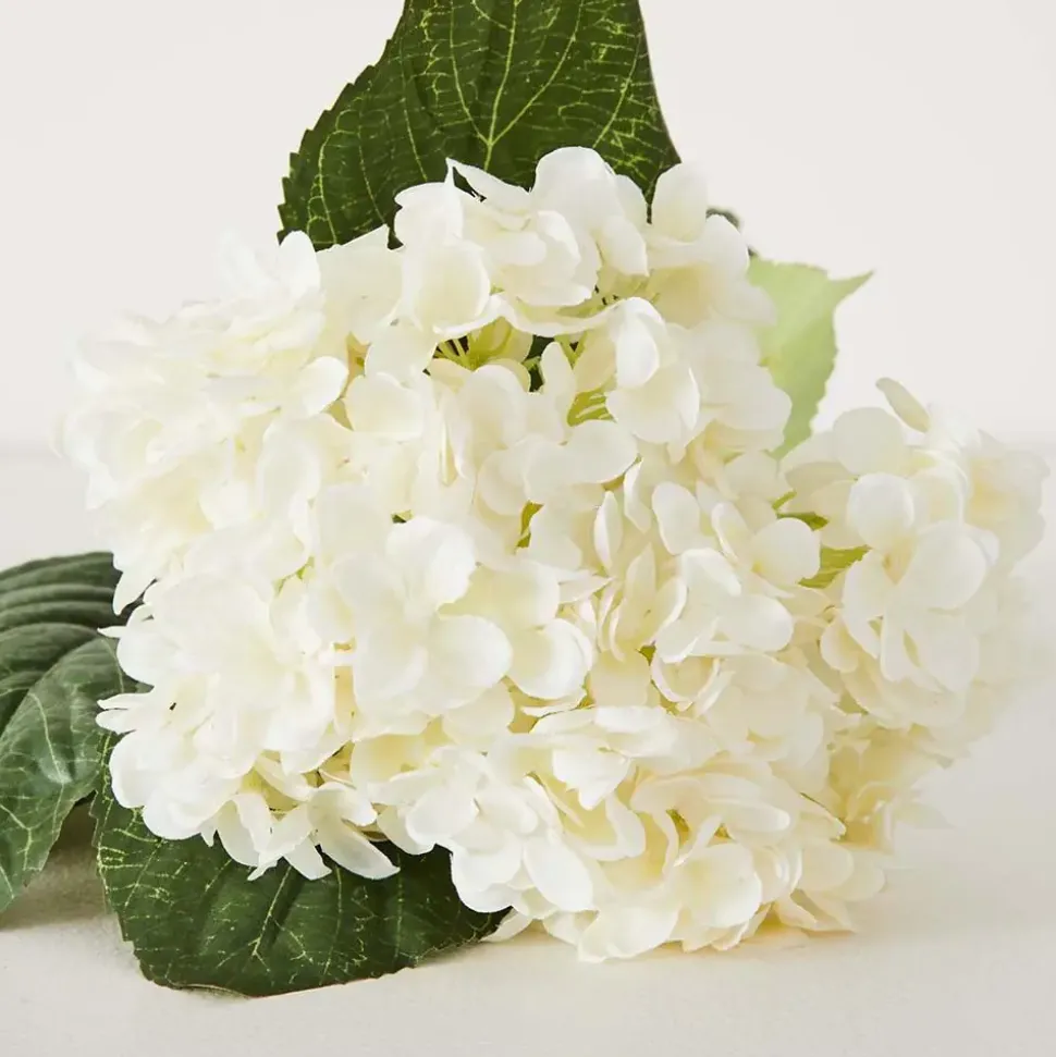 Hydrangea Flower Stem