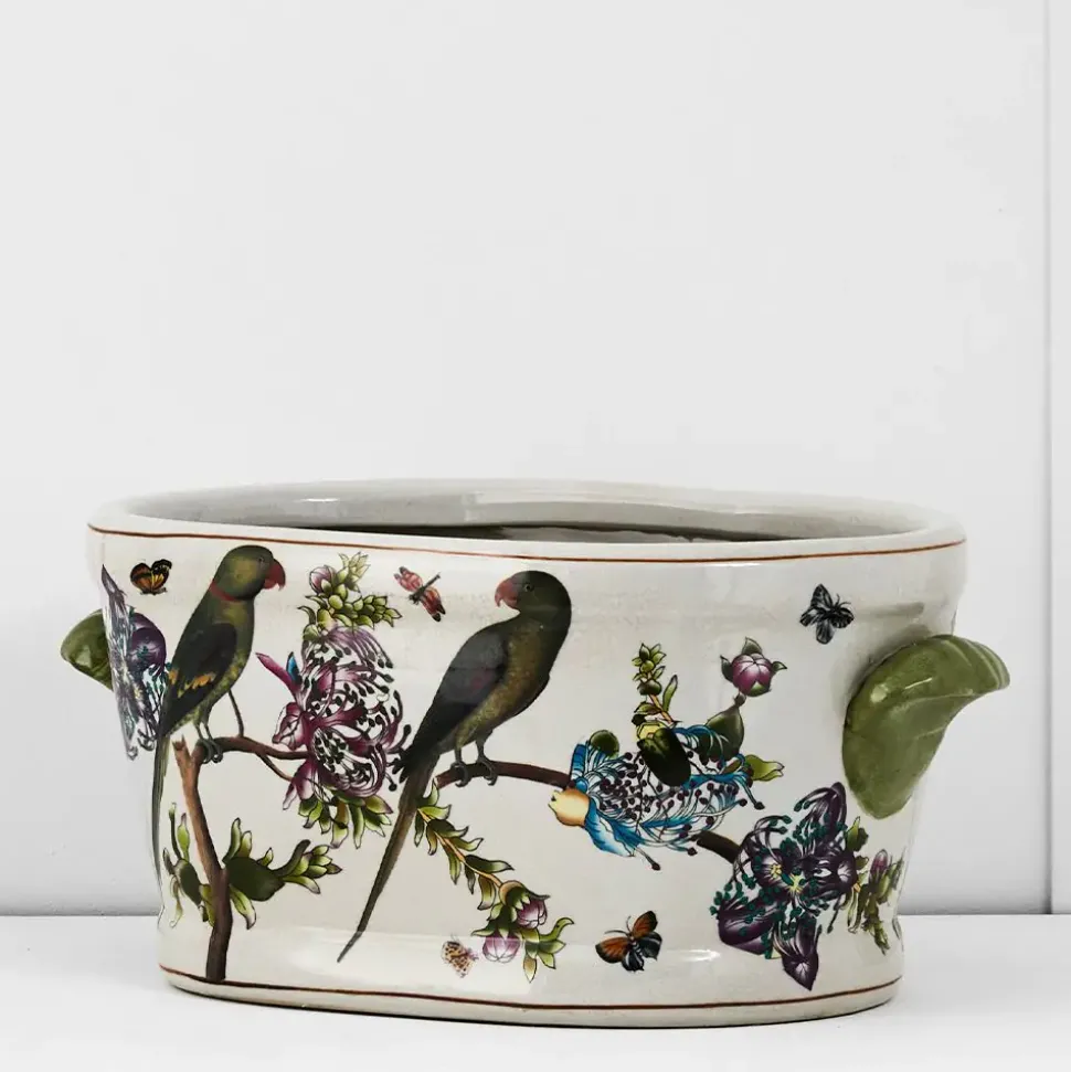 Kingdom Parrot Trough