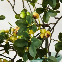 Laurel Berry Stem