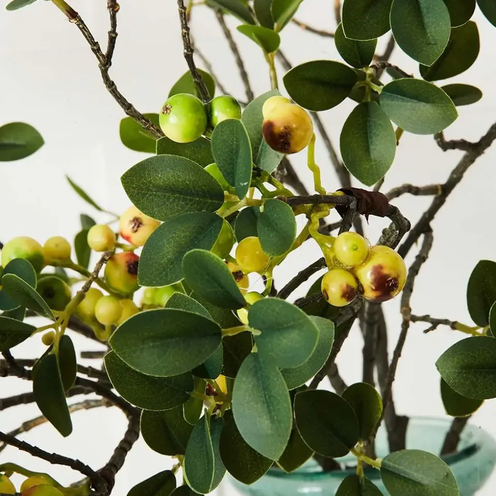 Laurel Berry Stem