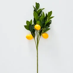 Lemon Stem