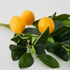 Lemon Stem