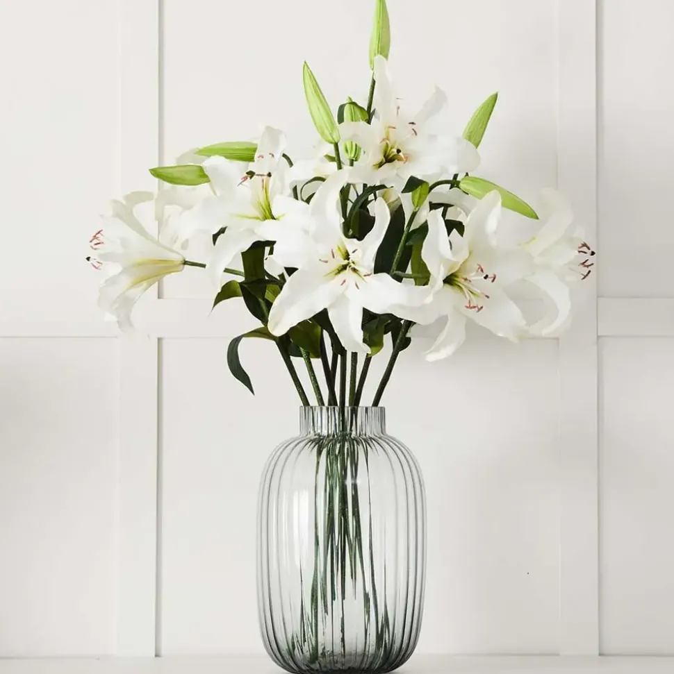 Lily Stem