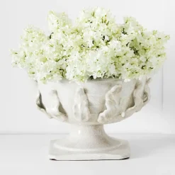 Lucerne Compote