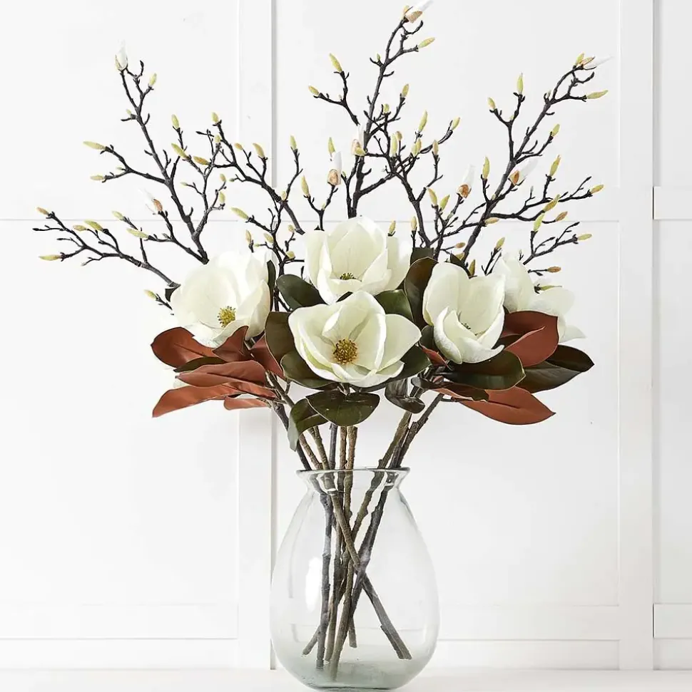 Magnolia Stem