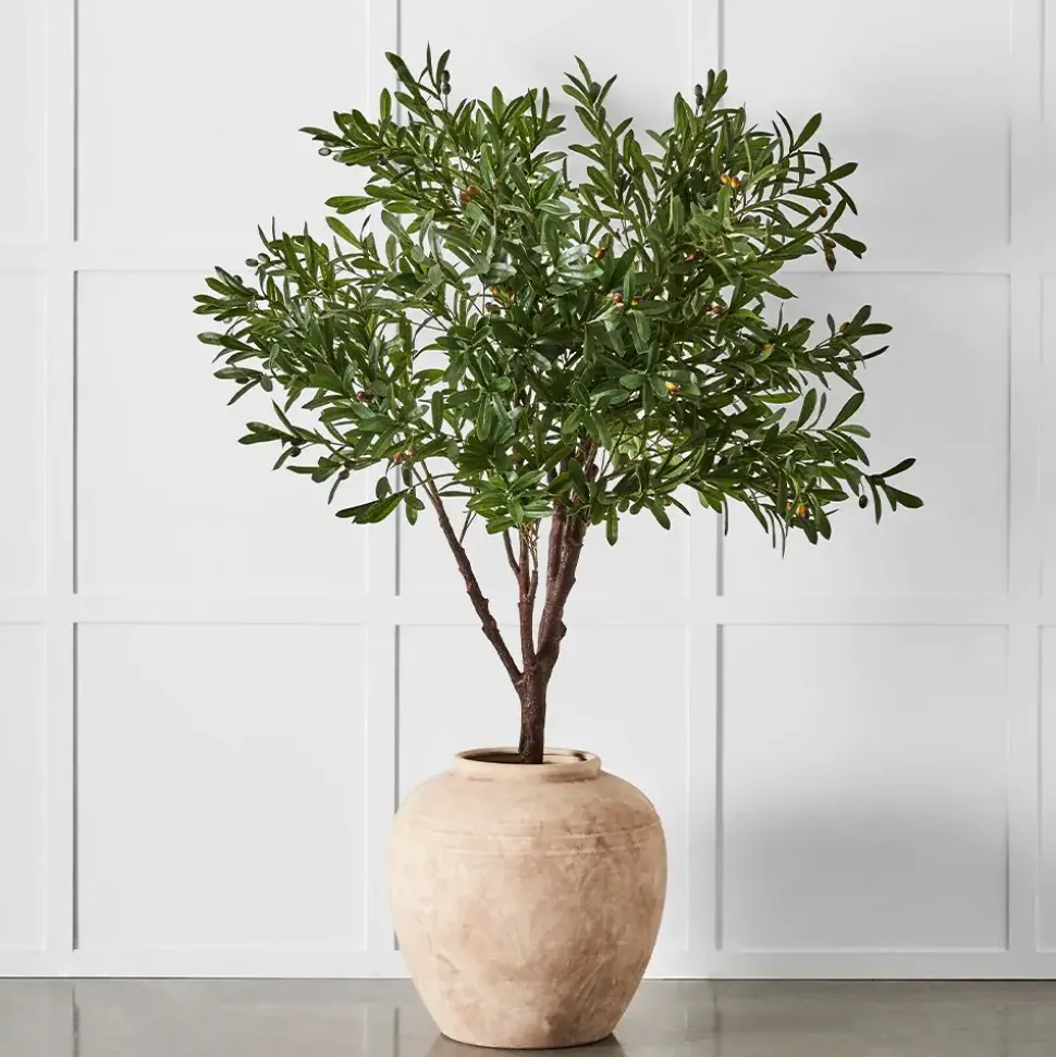 Mandray Pot