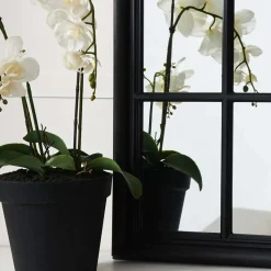 Martinique Curved Mirror