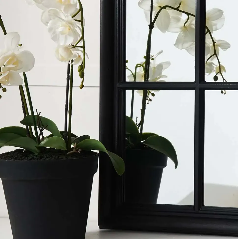 Martinique Curved Mirror