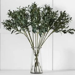 Olive Stem