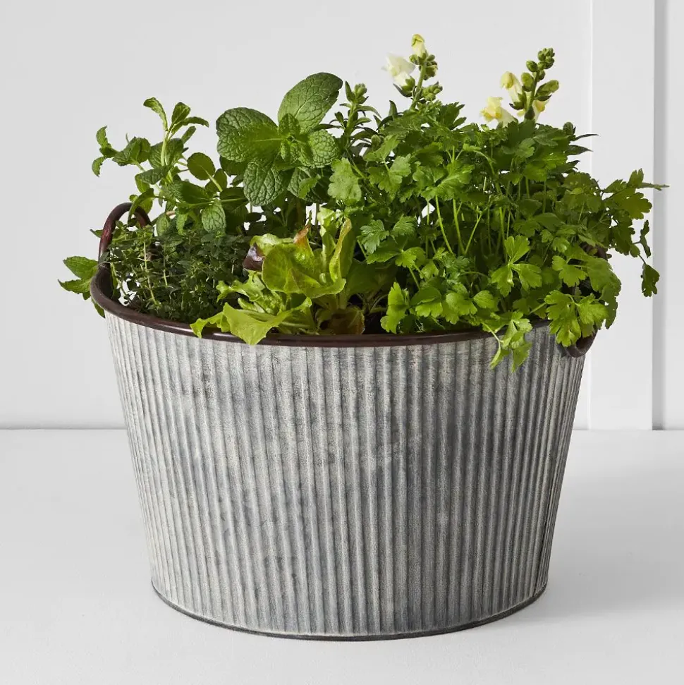 Palmer Tub L