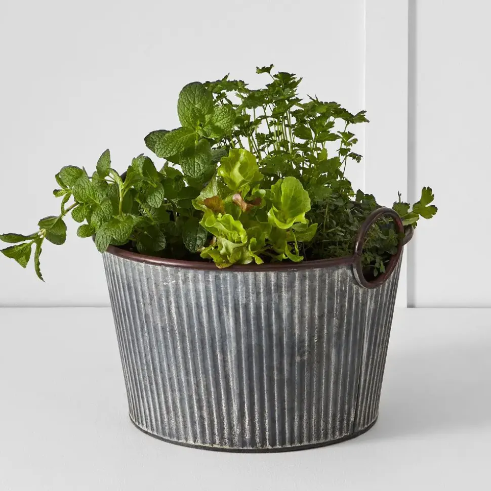 Palmer Tub M