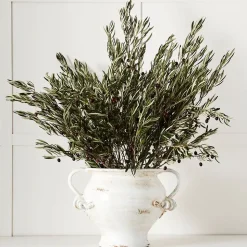 Pelike Urn